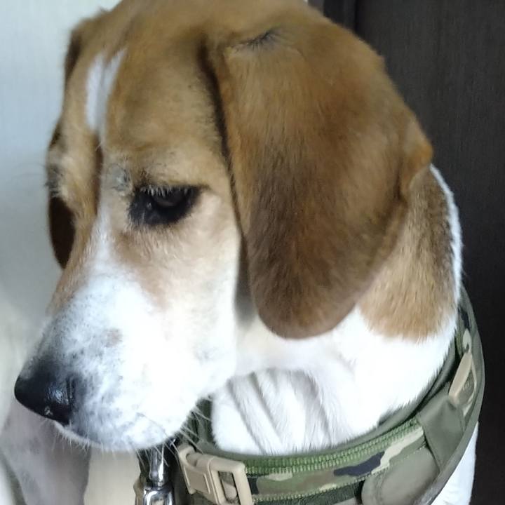 55b4cb5b 741d 48f0 ba57 8e21c7067b8e 1669728674248