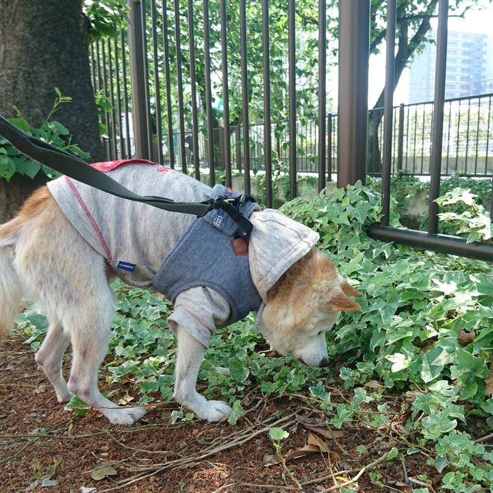 55b4da2c 7be8 4c17 b567 31a85917b4f5 1524361933162