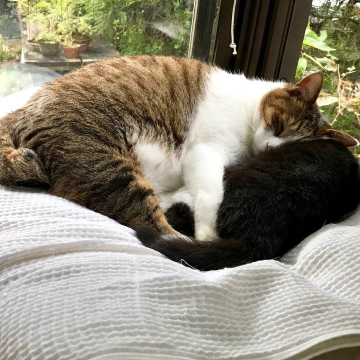 55b4eb45 8aab 4c06 8eca c4d622a50faa 1570069625213