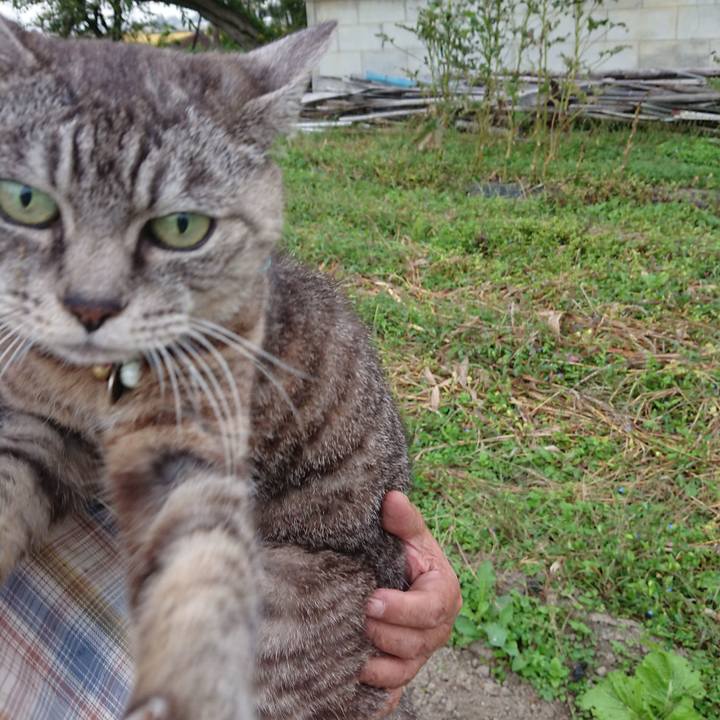 55b53b21 f8b9 411b 9b88 2e0d3dcbe2e0 1569708550839