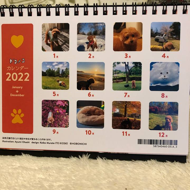 55b540dc 7db2 4e6c ba6a 0ff7e9a29291 1639304867402