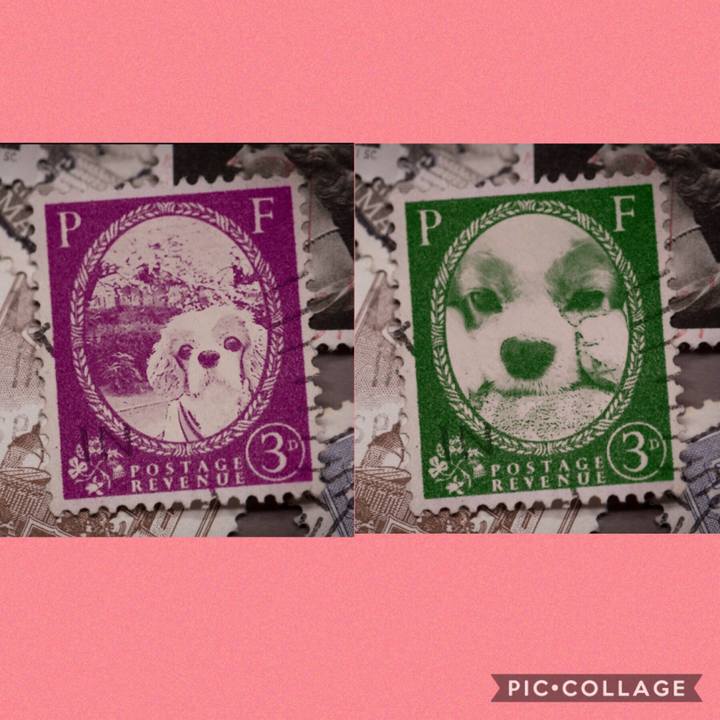 55b54d51 a283 4a05 a984 ef4bf518df7c 1569919991482