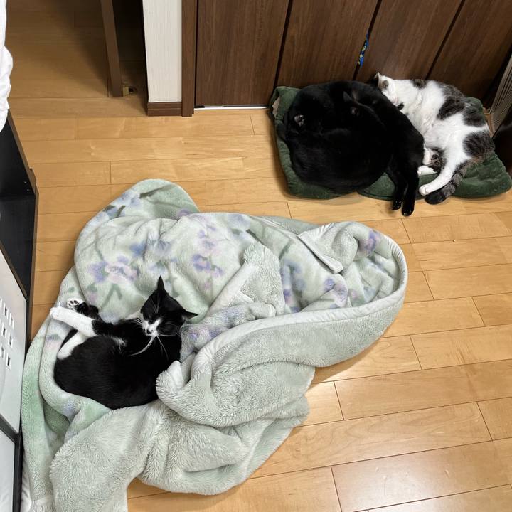 55b57666 8943 4516 af77 93c0839850c8 1699588601169