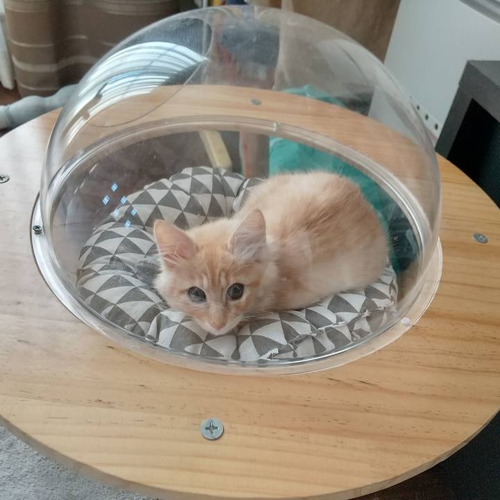 55b593c8 1877 4fac 9bcb d12d510dc1e0 1605436304732