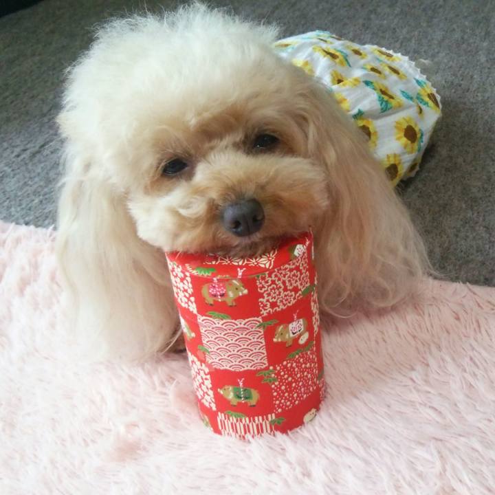 55b5c92a db71 4598 9459 0f4f9ecbdaf2 1562239533562