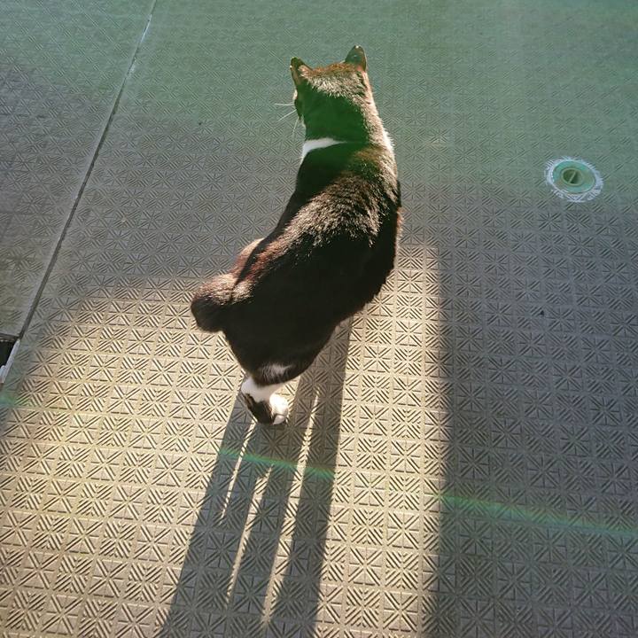 55b5fedc 588b 4c1f bdc2 ed808b991ecf 1552003052316