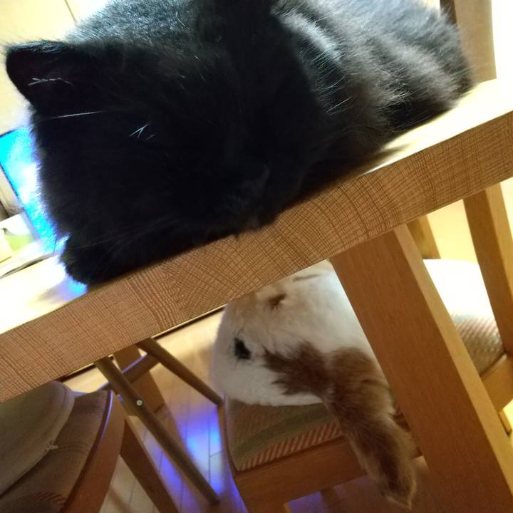 55b5fffb 3288 4a25 a7b1 1bf724515f8e 1658062886694