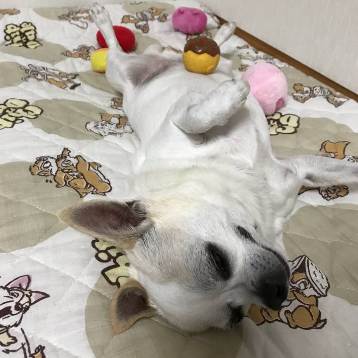 55b605a6 8c64 4480 ab2a edd12b82729d 1561553872145