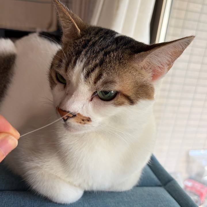 55b622e9 34f9 45c0 a3ba 6f383cf08190 1768450597428