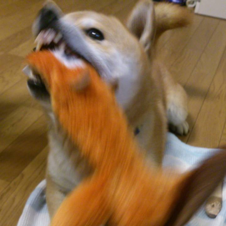 55b683c8 8c59 45c1 84cc 03e0a71c7545 1641389484315