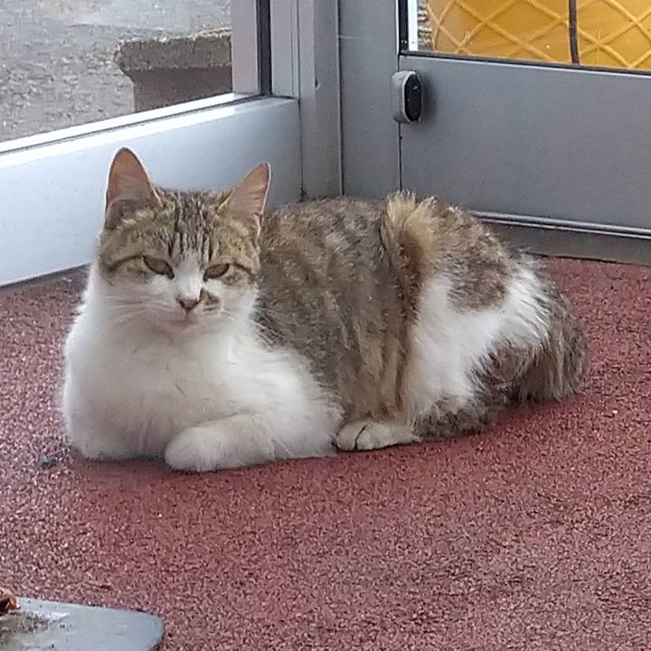 55b69e36 17a3 424b 9fbf bb41657321f6 1654072444896