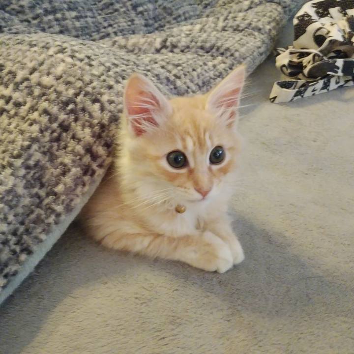 55b6c85a f823 44eb 8480 71a83942decb 1605309718347