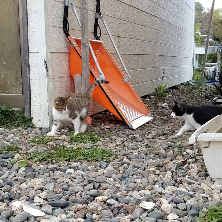 55b6cf79 bc2d 4440 a61b 8a347f8fa27e 1602925445420