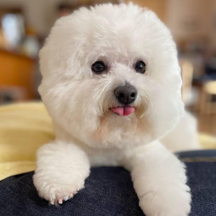 55b6dc0c 1331 4889 9c32 c3fbd14bfeff 1610084176711