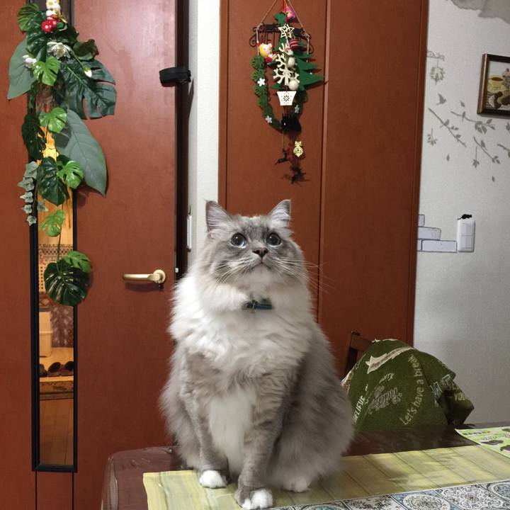 55b76871 672f 4cc7 939a 40b039f17812 1514072094067