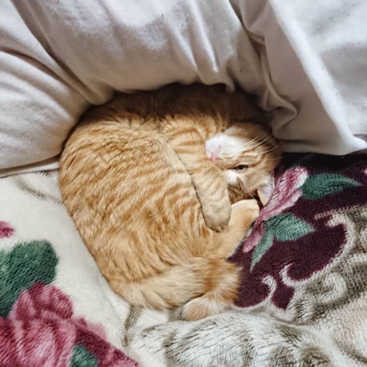 55b7a84c 2dca 4ccc ac4f cea5817e4ebb 1646223396570