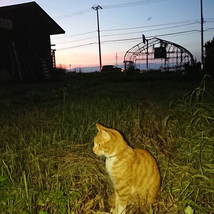 55b7c07a dec5 4c1c a52f bc4056c708ab 1567848648965