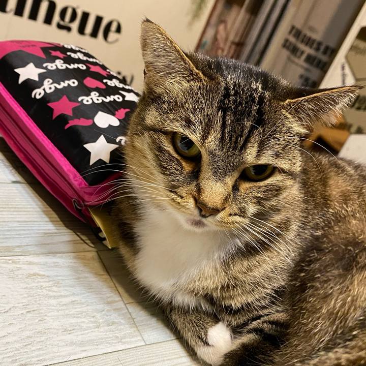 55b7c1ba 2553 4083 b088 816b8e942079 1609166098971