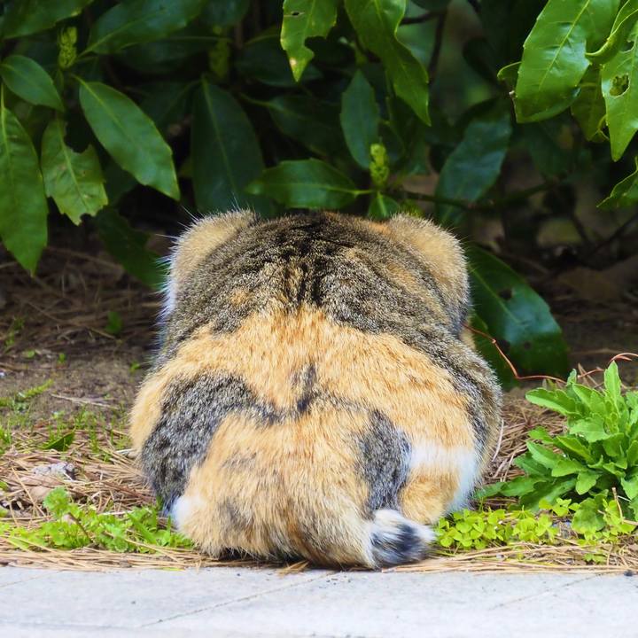 55b7cef2 9e9e 40a7 8d58 c7a906972cb8 1616466236240