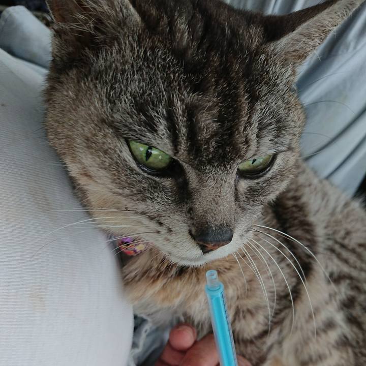 55b7e1ec 82fc 47fa a0a0 13c2da3eea61 1593302939891