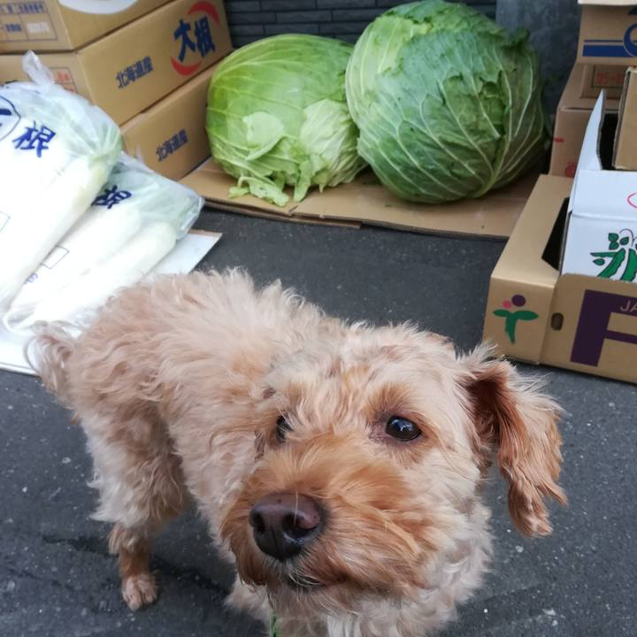 55b7ff32 24ec 4337 924c bbdebfc81306 1572654270195