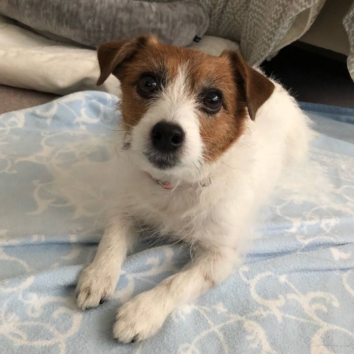 55b82d18 bed5 41d8 8ecb 46b4a5808ad8 1613130124321