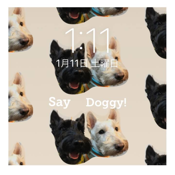 55b88d69 fa98 4412 8582 467ac5d4bab0 1578716290214