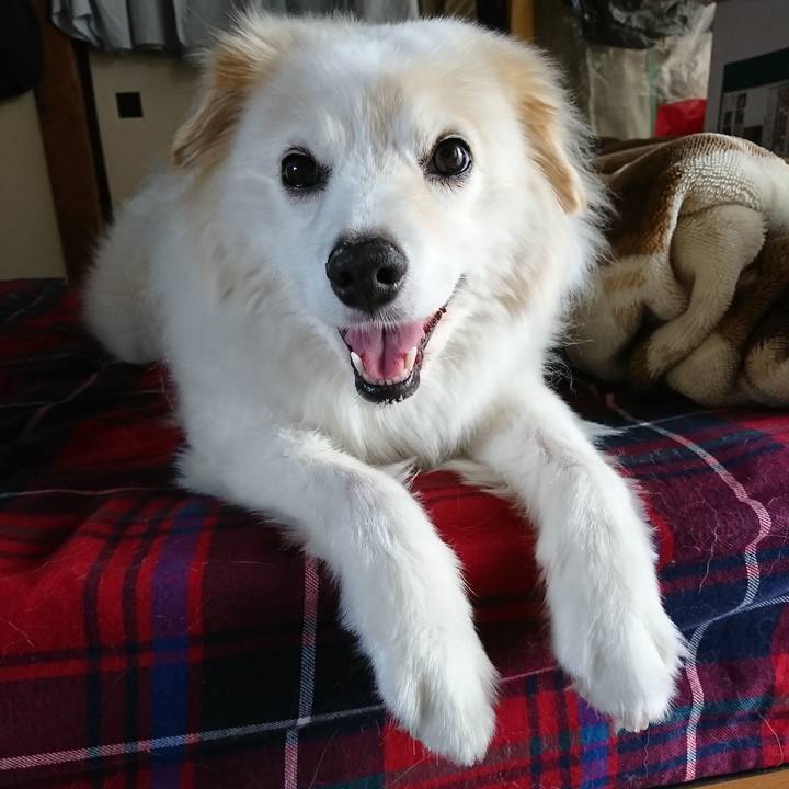 55b8a2cd 6267 4c7c b027 08d52e01fe90 1530305797195