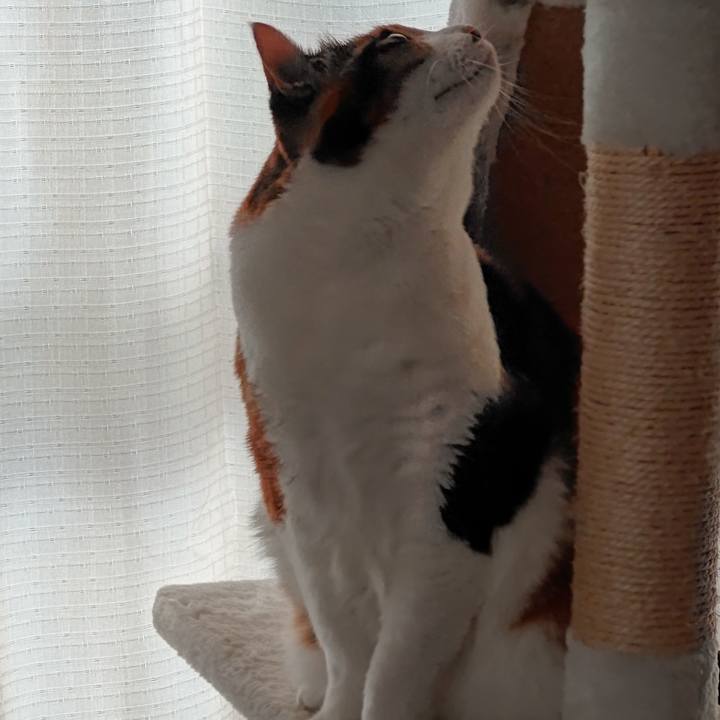 55b8b797 153d 4fff 8bf5 bc1dc8e5ffff 1645058729848