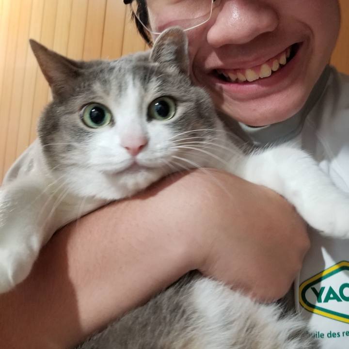 55b8c86f 772f 4106 963d 228a002940ce 1623410767440