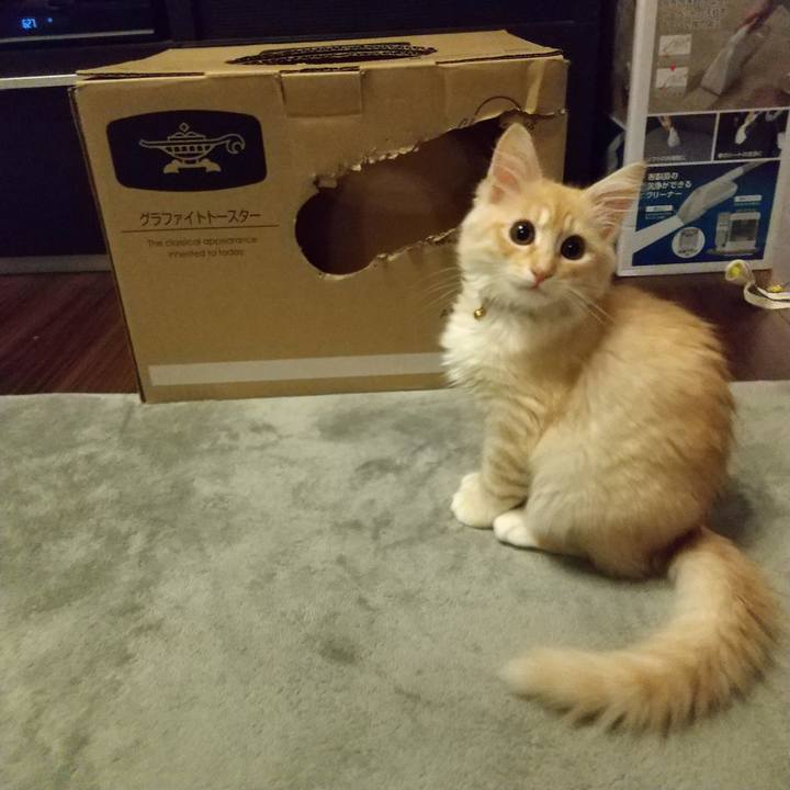 55b8f09e cc1b 4ca6 9b71 54c0149c48f2 1606945467184