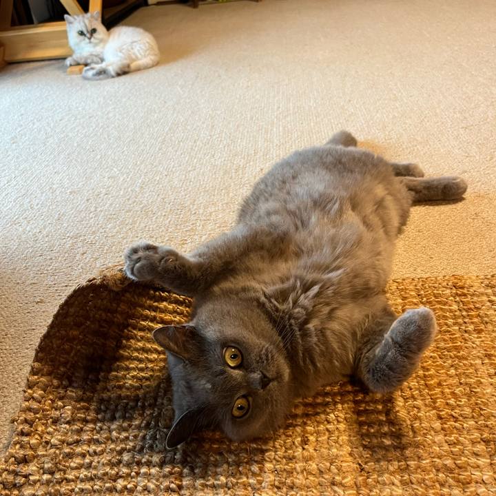 55b8f8ec ce20 41de aed9 1613368d0139 1752664028120