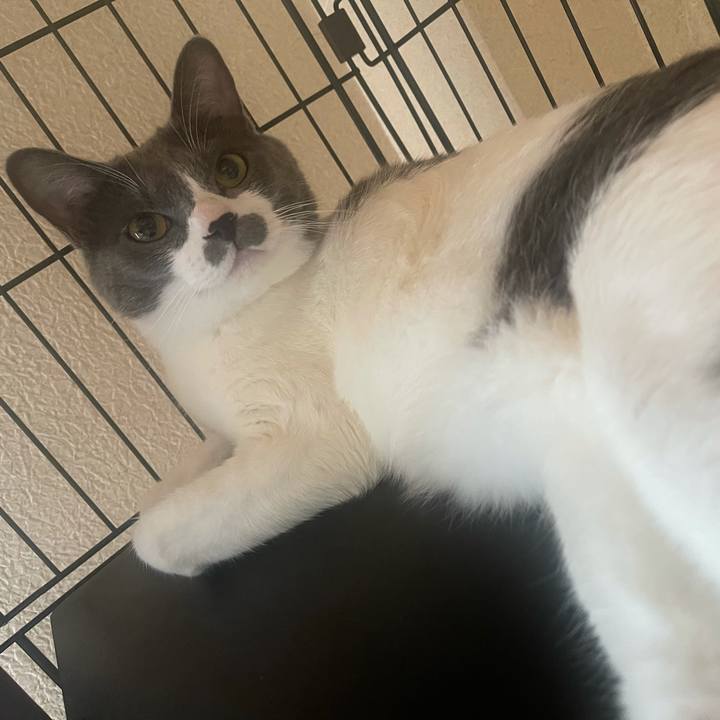 55b9370c 625d 44d6 be4f ae5f57cc0b41 1628463797245