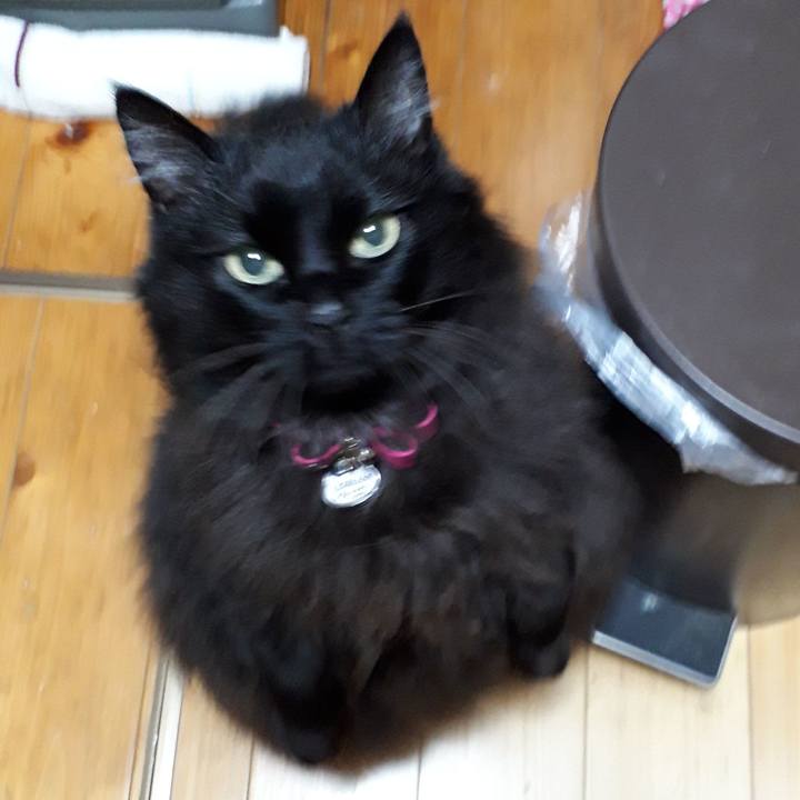 55b94448 e634 485a 9b4d f9bae46e7e52 1522254639751