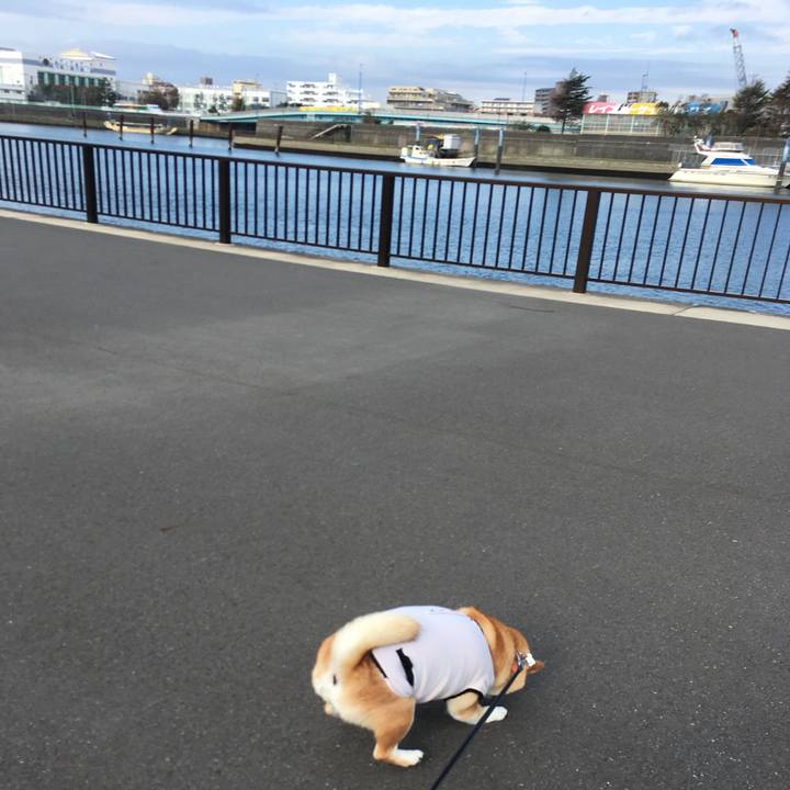 55b94f54 33d2 4935 b02e 209d1fad8be0 1539913480563