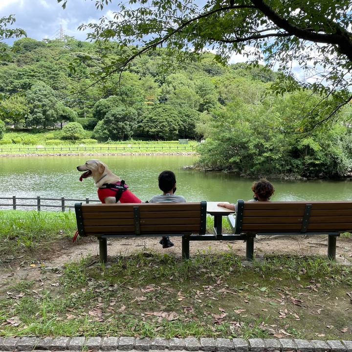 55b976a1 1bd6 49f5 9f33 204e2ce37001 1629352665412