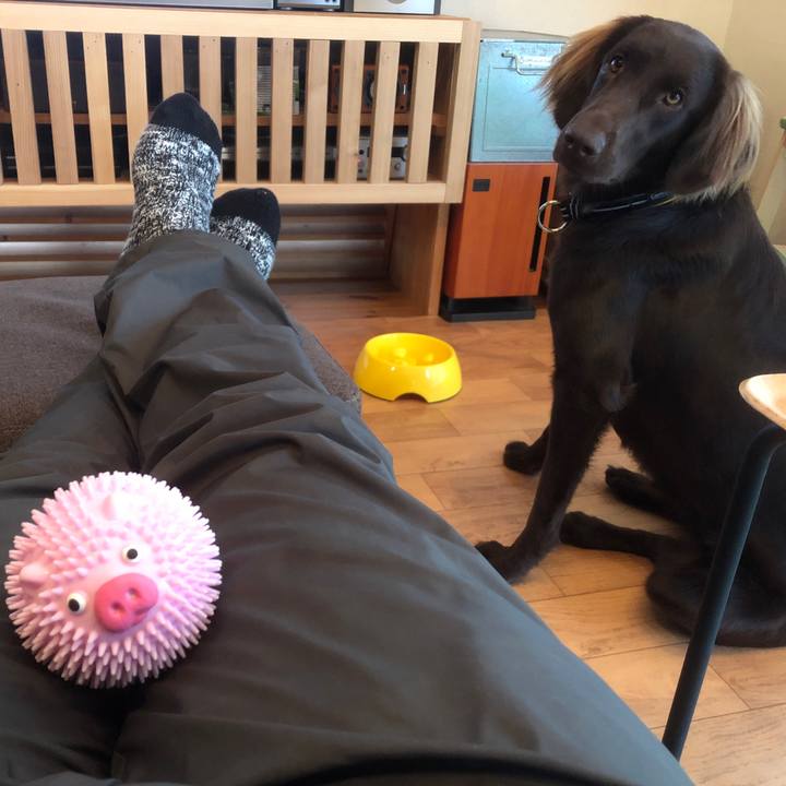 55b9be63 114e 4675 94ca 9b86ae0723b9 1579766861355