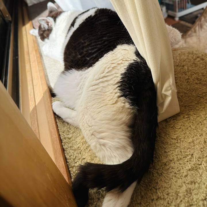 55b9c442 918c 4b00 a22d 1654a65c3c1b 1682908238723