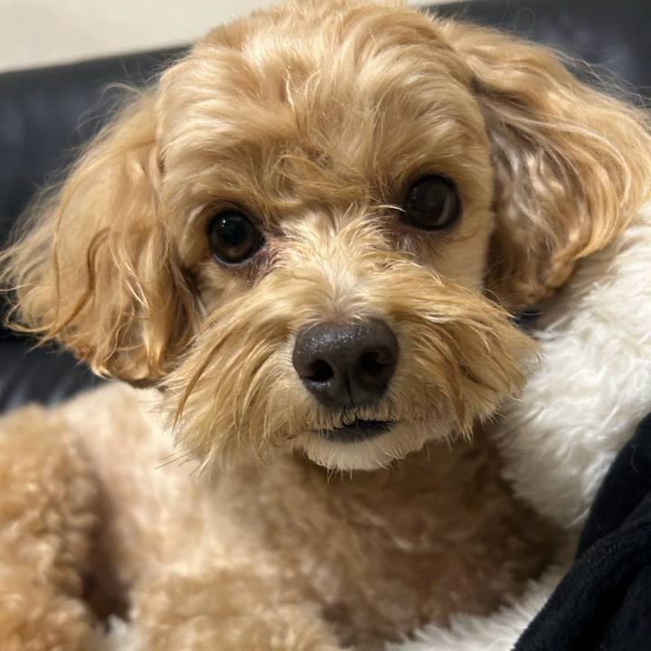 55b9f97f 8c64 4a51 a199 8220504ead20 1759021791723