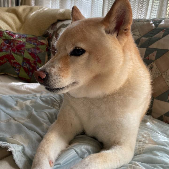 55b9fe83 4603 4aa3 a847 326019123862 1693094076012