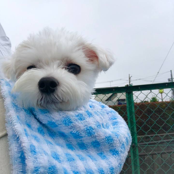 55ba141e eadd 4fe8 b191 5e2a56094ff3 1560990721688