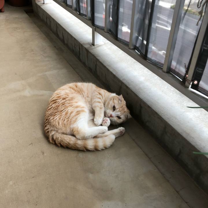 55ba1d04 ac39 4a95 842a 635b9be46923 1556472961486