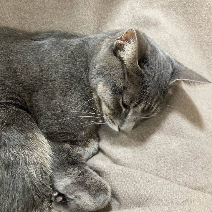 55ba1f1e e95e 4d98 a1f8 8f848c4732da 1635087402468