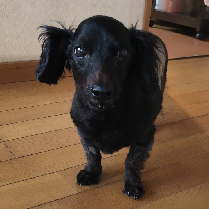 55ba3759 50d0 45bd b0ad 24d6d1a1b2f9 1551137999501