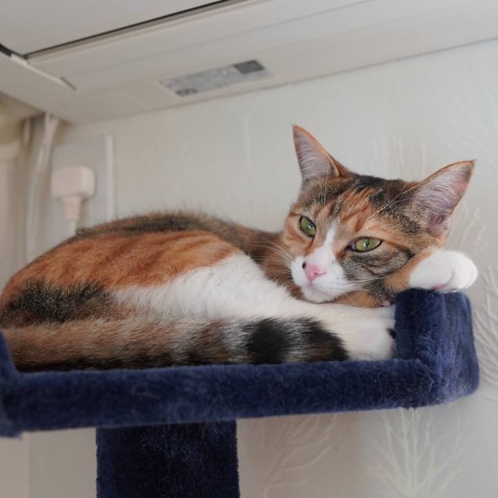 55ba5222 b64d 496e 9d8c f528e109f5e2 1586354631761