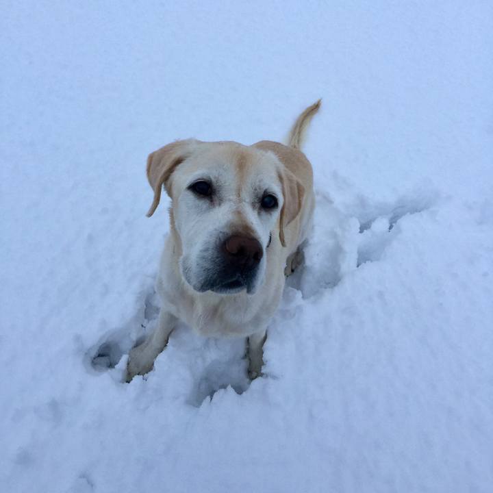 55ba6b08 ec5f 4693 aa6e ef3bc96b360a 1511128776625