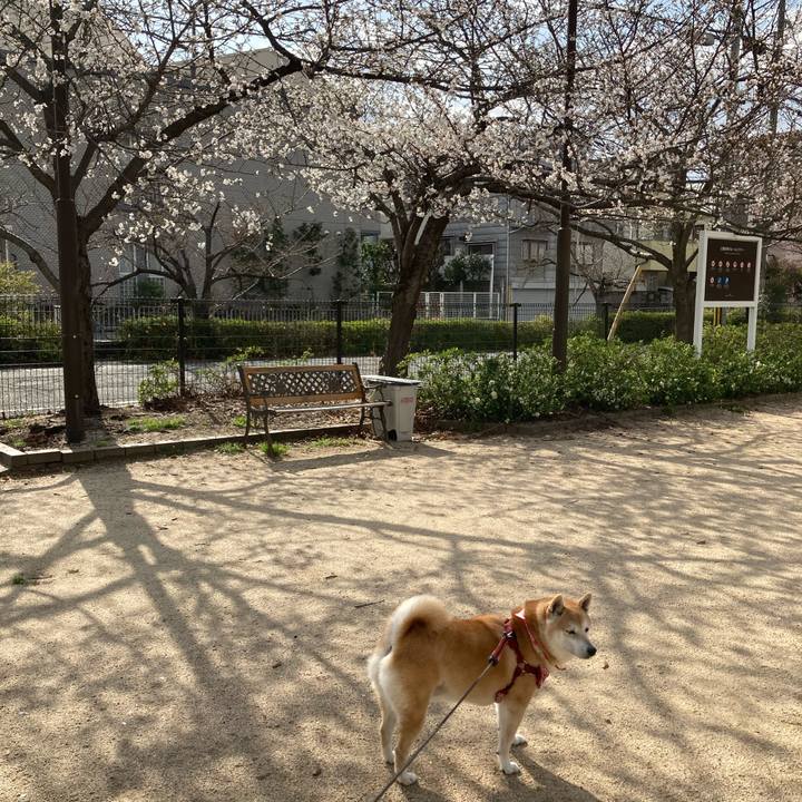 55ba746f 3f6c 4787 97ae c1ef19e9878b 1616411827618