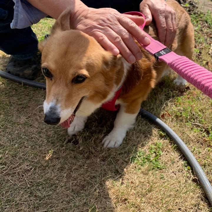 55ba83e9 a651 4281 b44e b0c65902988d 1711936873656