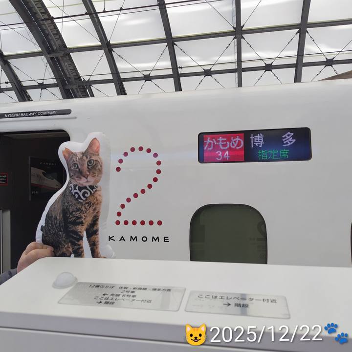 55bab1d6 37ad 4089 9a9a 9df359c612df 1766419070463