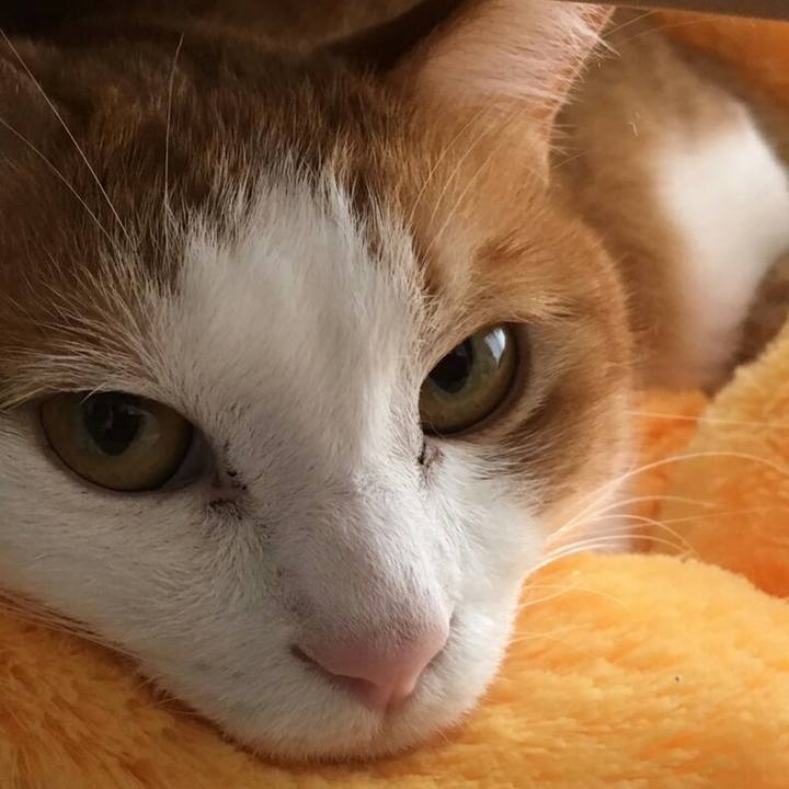 55bab7db 9a4e 41e9 95ea ba2c85f8c55f 1509779804342